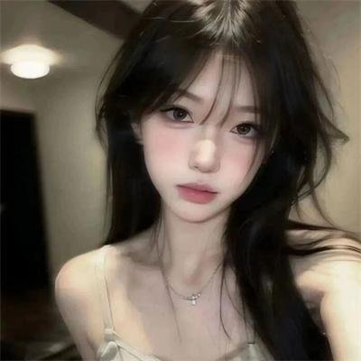 树袋熊