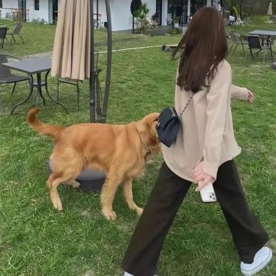 开心半小时